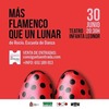 Haga click para ampliar imagen: Más flamenco que un lunar