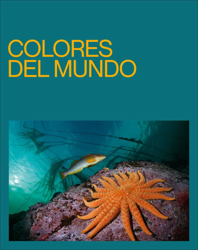 Exposicin Caixaforum Colores del Mundo (+visita comentada)