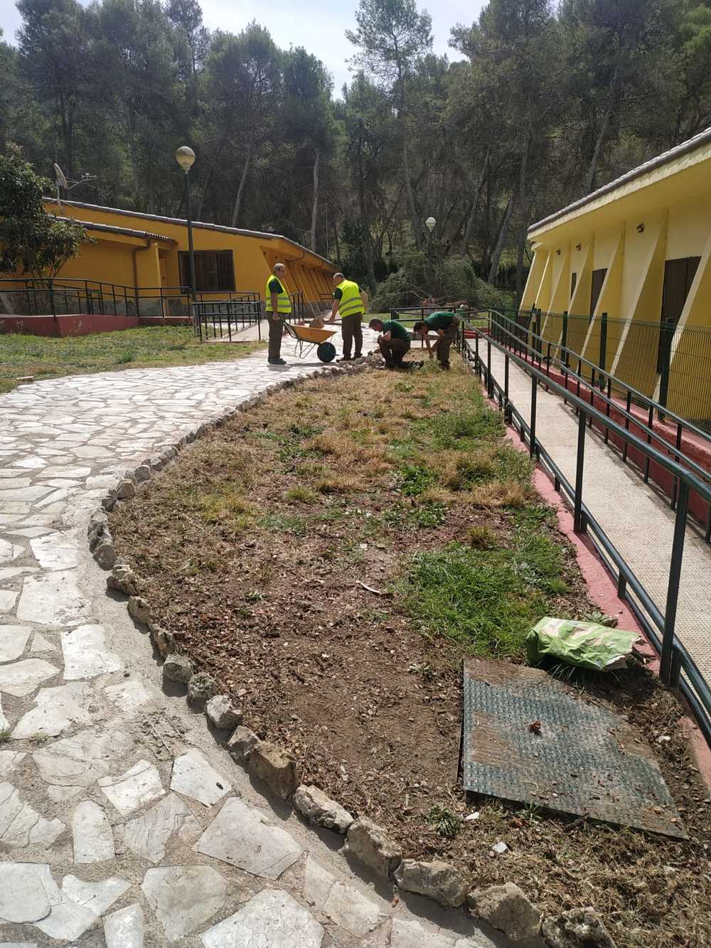 ARREGLO AULA NATURALEZA