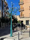 Haga click para ampliar imagen: 20231127 RBOL JOS ROS