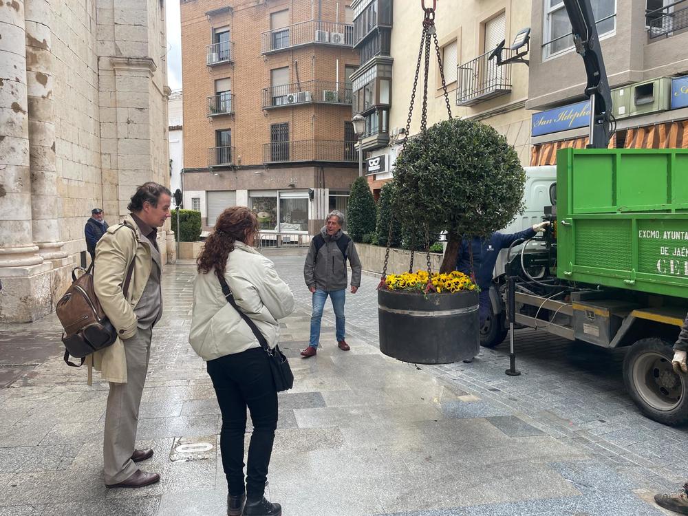 Instalacin maceteros en San Ildefonso