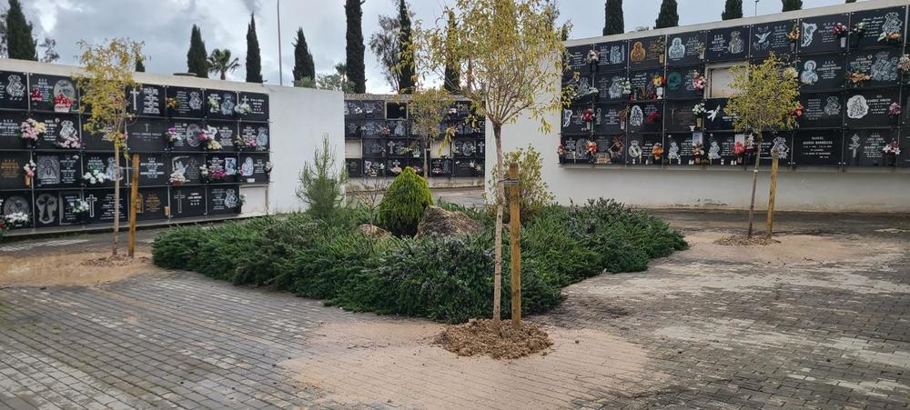 Foto cementerio San Fermando