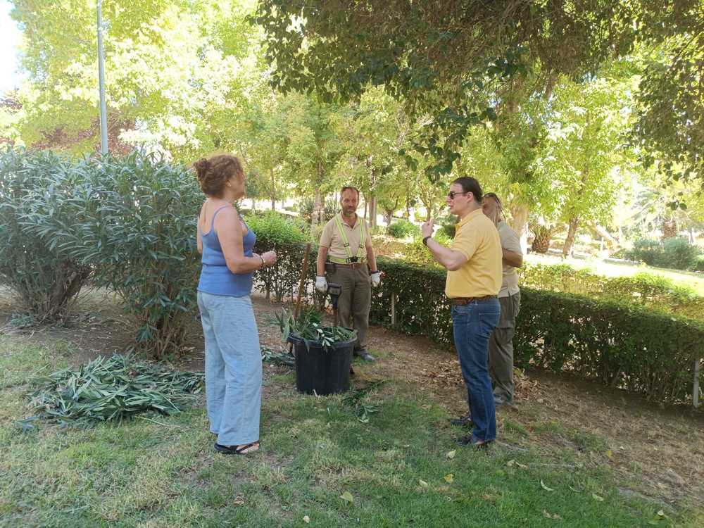 Renovacin parque Mara Auxiliadora 