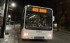 Haga click para ampliar imagen: Bus Buho