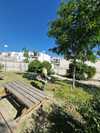 Haga click para ampliar imagen: Tareas de desbroce y limpieza en los colegios y parques de la ciudad 1