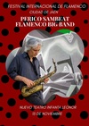 Haga click para ampliar imagen: Perico Sambeat flamenco