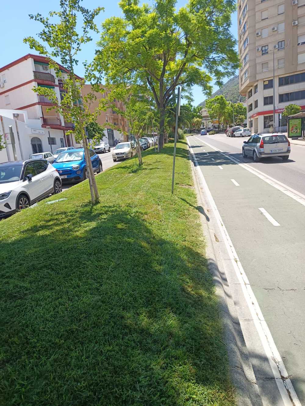 Embellecimiento zonas verdes julio 2025