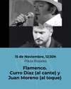 Haga click para ampliar imagen: Flamenco. Curro Daz y Juan Moreno. Plaza Rosales
