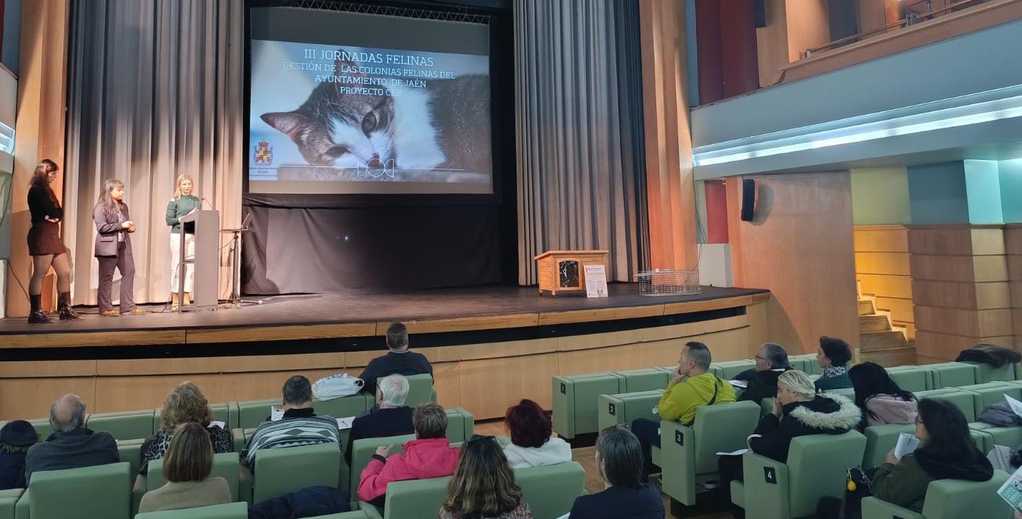 jornadas formativas felinas