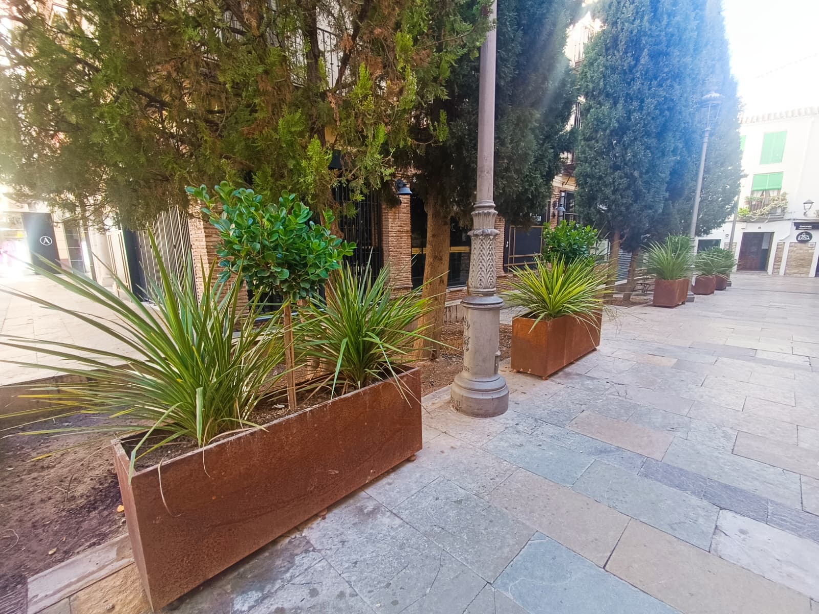 2025.12.09 Foto Maceteros en Rejas de la Capilla