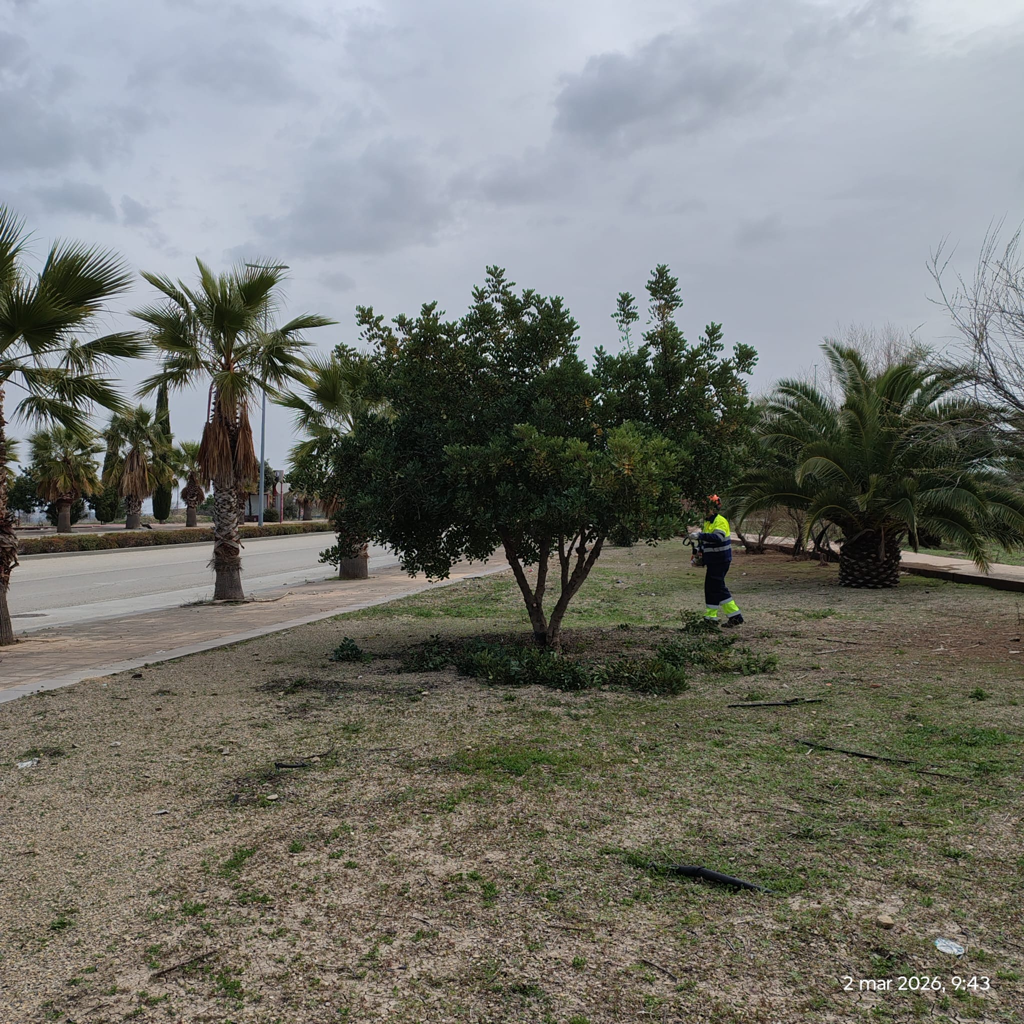 2026.03.05 Foto 2 Medio Ambiente actua en Nuevo Ja�n