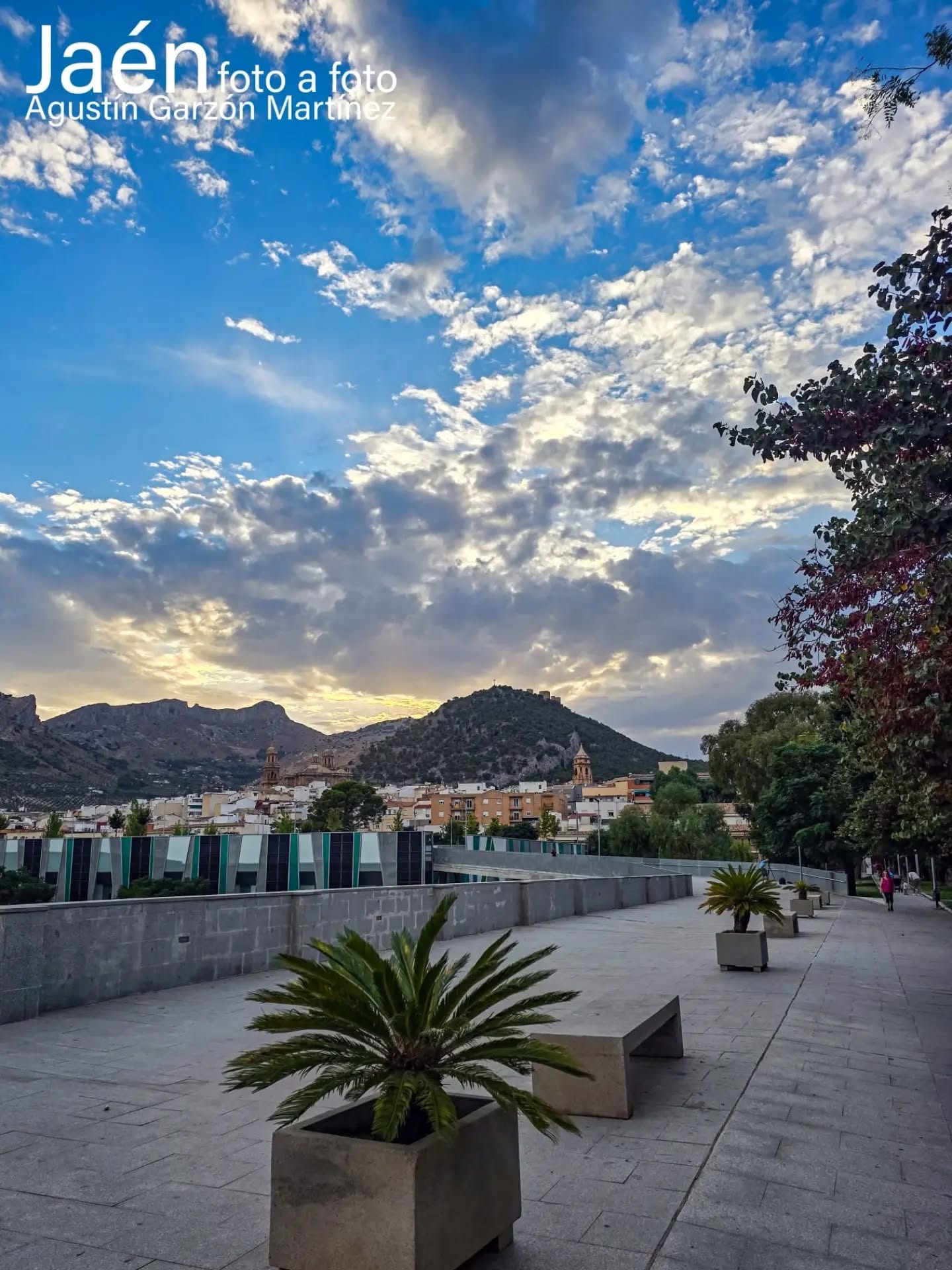 Haga click para ampliar imagen: Mirador de la Alameda