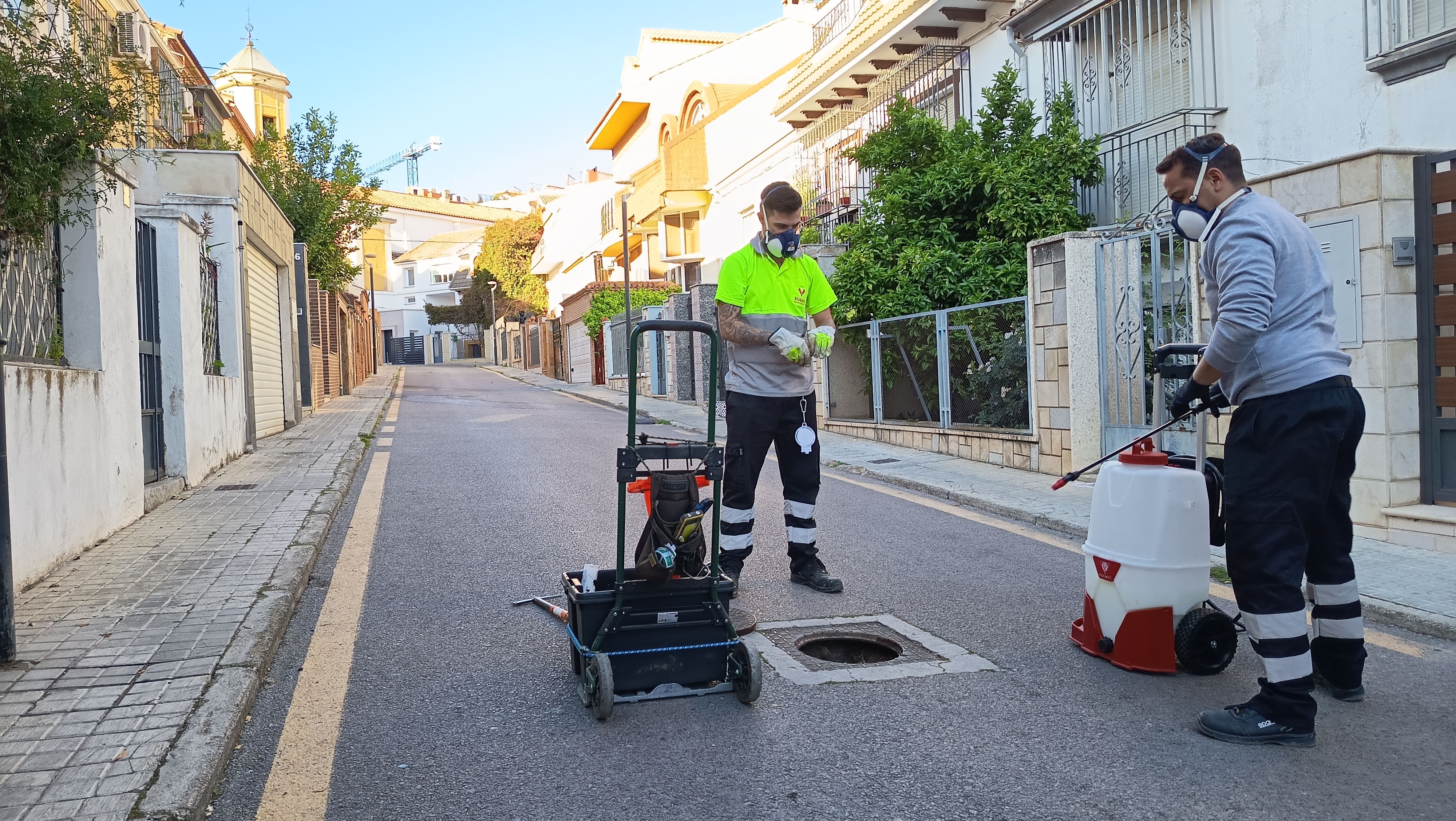 Fotograf�a Control de plagas en la ciudad 2