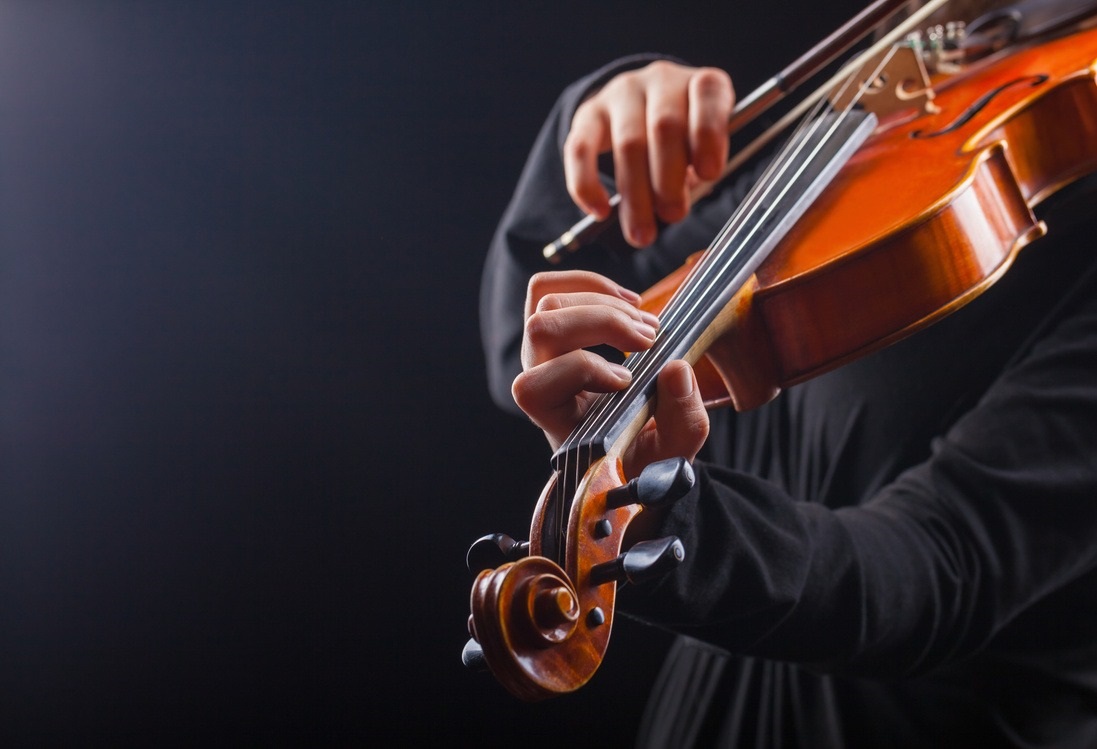 Viol�n