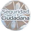 Seguridad Ciudadana