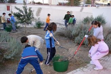 rea de Educacin Ambiental